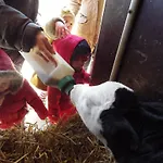 Ferme Clatot