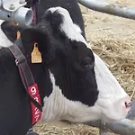 Ferme Clatot